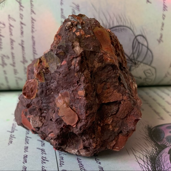 Beautiful piece of Petrified Redwood tree mineral stone display specimen - Picture 5 of 11